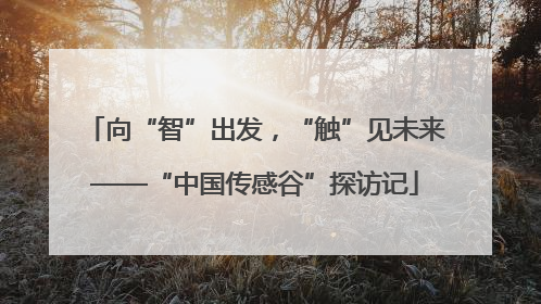 向“智”出发，“触”见未来——“中国传感谷”探访记