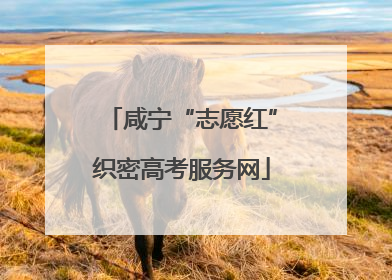咸宁“志愿红”织密高考服务网