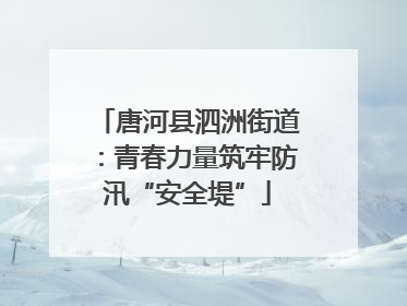 唐河县泗洲街道：青春力量筑牢防汛“安全堤”