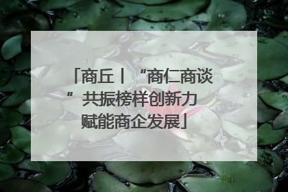 商丘丨“商仁商谈”共振榜样创新力 赋能商企发展