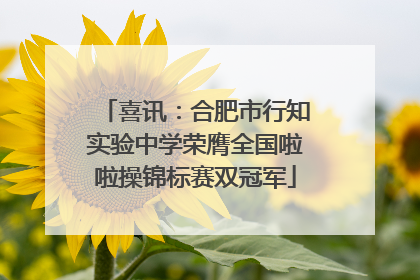 喜讯：合肥市行知实验中学荣膺全国啦啦操锦标赛双冠军