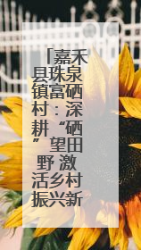嘉禾县珠泉镇富硒村：深耕“硒”望田野 激活乡村振兴新动能
