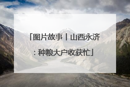 图片故事丨山西永济：种粮大户收获忙