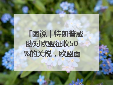 图说｜特朗普威胁对欧盟征收50%的关税，欧盟面临多重压力