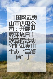 国网武夷山市供电公司：开展世界环境日主题宣传活动守护武夷山生态“高颜值”