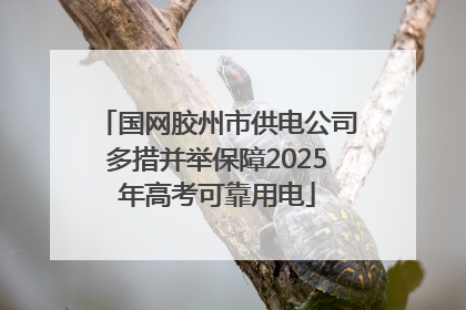 国网胶州市供电公司多措并举保障2025年高考可靠用电
