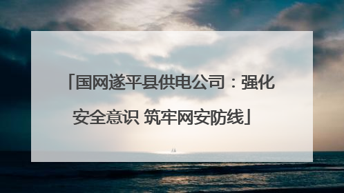 国网遂平县供电公司：强化安全意识 筑牢网安防线