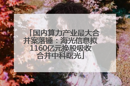 国内算力产业最大合并案落锤：海光信息拟1160亿元换股吸收合并中科曙光