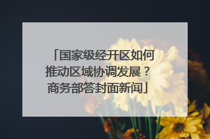 国家级经开区如何推动区域协调发展？商务部答封面新闻