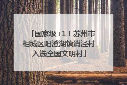 国家级+1！苏州市相城区阳澄湖镇消泾村入选全国文明村
