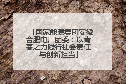 国家能源集团安徽合肥电厂团委：以青春之力践行社会责任与创新担当