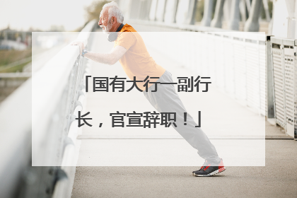国有大行一副行长，官宣辞职！