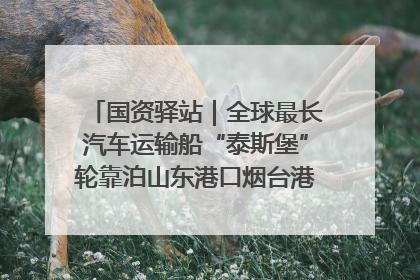 国资驿站｜全球最长汽车运输船“泰斯堡”轮靠泊山东港口烟台港；渤海最大油气平台完成浮托安装