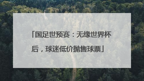 国足世预赛：无缘世界杯后，球迷低价抛售球票