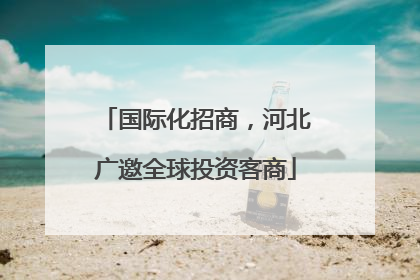 国际化招商，河北广邀全球投资客商