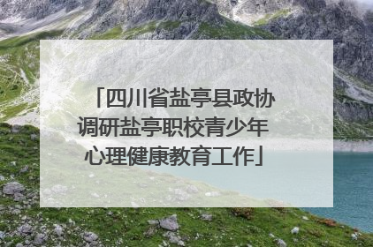 四川省盐亭县政协调研盐亭职校青少年心理健康教育工作
