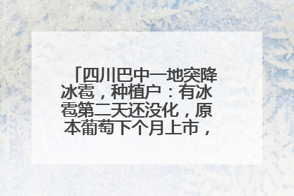 四川巴中一地突降冰雹，种植户：有冰雹第二天还没化，原本葡萄下个月上市，现在全被打落