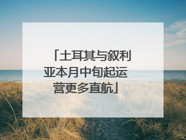 土耳其与叙利亚本月中旬起运营更多直航