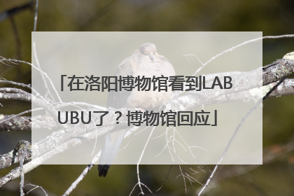 在洛阳博物馆看到LABUBU了？博物馆回应