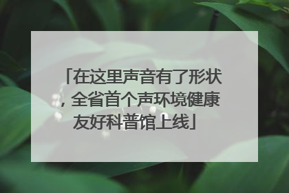在这里声音有了形状，全省首个声环境健康友好科普馆上线