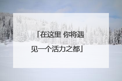 在这里 你将遇见一个活力之都