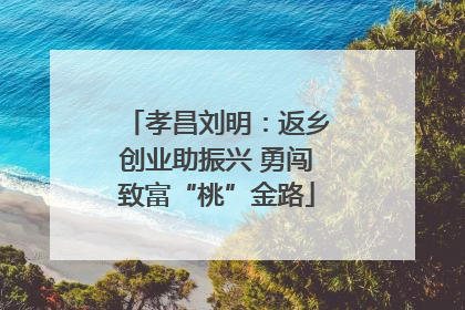 孝昌刘明：返乡创业助振兴 勇闯致富“桃”金路