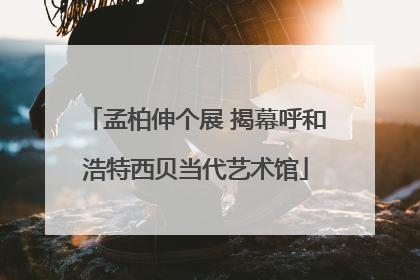 孟柏伸个展 揭幕呼和浩特西贝当代艺术馆