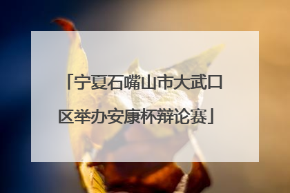 宁夏石嘴山市大武口区举办安康杯辩论赛