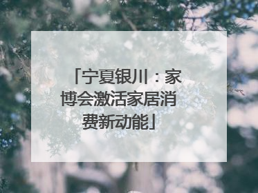 宁夏银川：家博会激活家居消费新动能