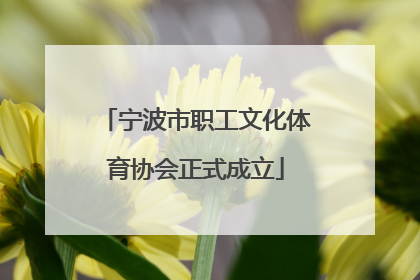 宁波市职工文化体育协会正式成立