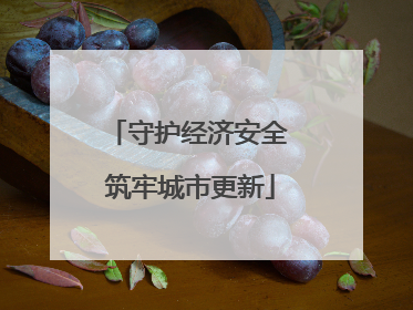 守护经济安全 筑牢城市更新