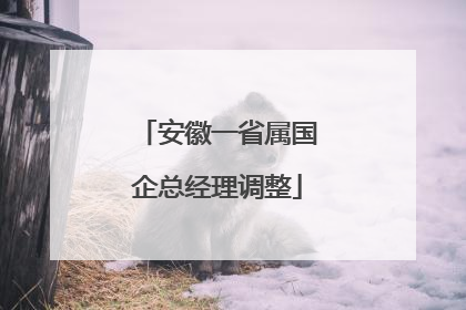 安徽一省属国企总经理调整
