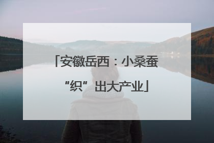安徽岳西：小桑蚕“织”出大产业