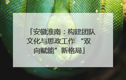 安徽淮南：构建团队文化与思政工作 “双向赋能”新格局