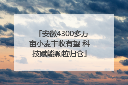 安徽4300多万亩小麦丰收有望 科技赋能颗粒归仓