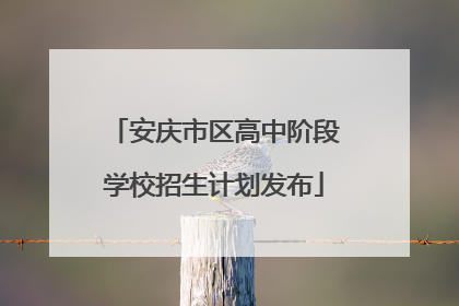 安庆市区高中阶段学校招生计划发布