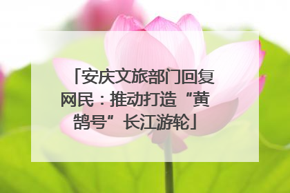 安庆文旅部门回复网民：推动打造“黄鹄号”长江游轮