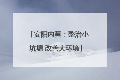 安阳内黄：整治小坑塘 改善大环境