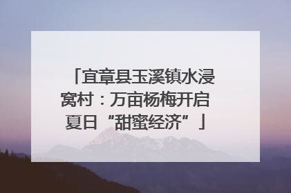 宜章县玉溪镇水浸窝村：万亩杨梅开启夏日“甜蜜经济”