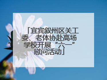 宜宾叙州区关工委、老体协赴高场学校开展“六一”慰问活动