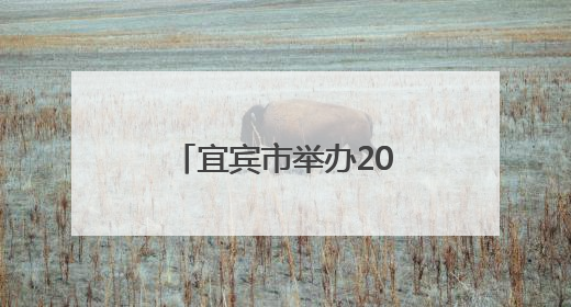 宜宾市举办2025年安全生产宣传咨询日活动