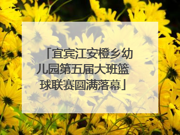 宜宾江安橙乡幼儿园第五届大班篮球联赛圆满落幕