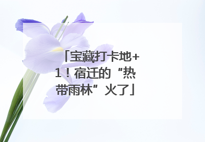 宝藏打卡地+1！宿迁的“热带雨林”火了