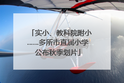 实小、教科院附小……多所市直属小学公布秋季划片