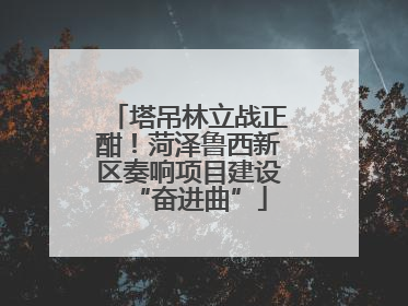 塔吊林立战正酣！菏泽鲁西新区奏响项目建设“奋进曲”