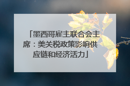 墨西哥雇主联合会主席：美关税政策影响供应链和经济活力