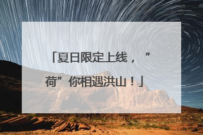 夏日限定上线，“荷”你相遇洪山！