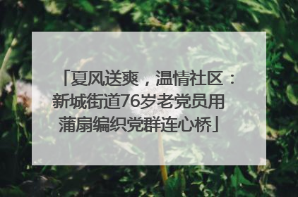 夏风送爽，温情社区：新城街道76岁老党员用蒲扇编织党群连心桥