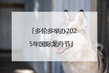 多伦多举办2025年国际龙舟节