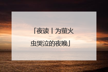 夜读丨为萤火虫哭泣的夜晚